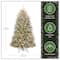 6.5 ft. Pre-Lit Flocked Dunhill® Fir Full Artificial Christmas Tree, Clear Lights